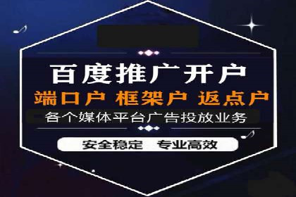 百度竞价广告运营全解析：成功案例揭秘